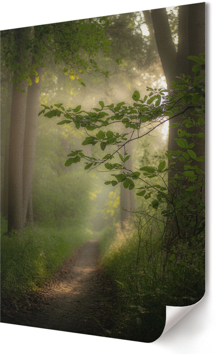 Coloray Canvas Poster Polycanvas - Stadspaviljoen, Zwart-wit - A3 - Groen Poster - Rechthoek - Decoratieve poster - Kantoor - Klassiek