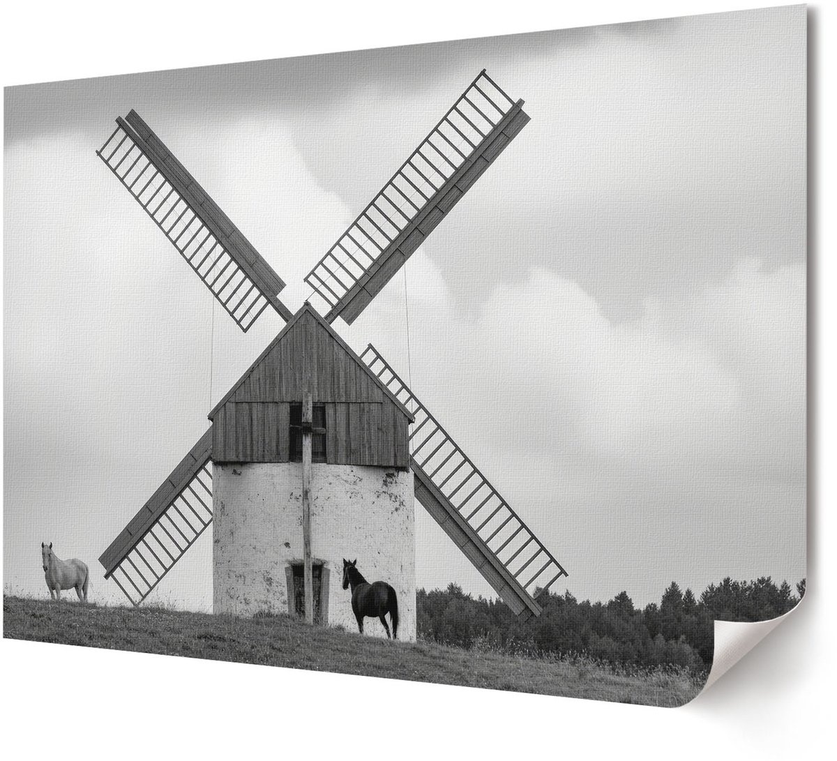 Coloray Polycanvas Wandposter - Winterlandschap, Wit - A4 - Grijs Poster - Rechthoek - Interieurdecoratie - Kantoor - Modern