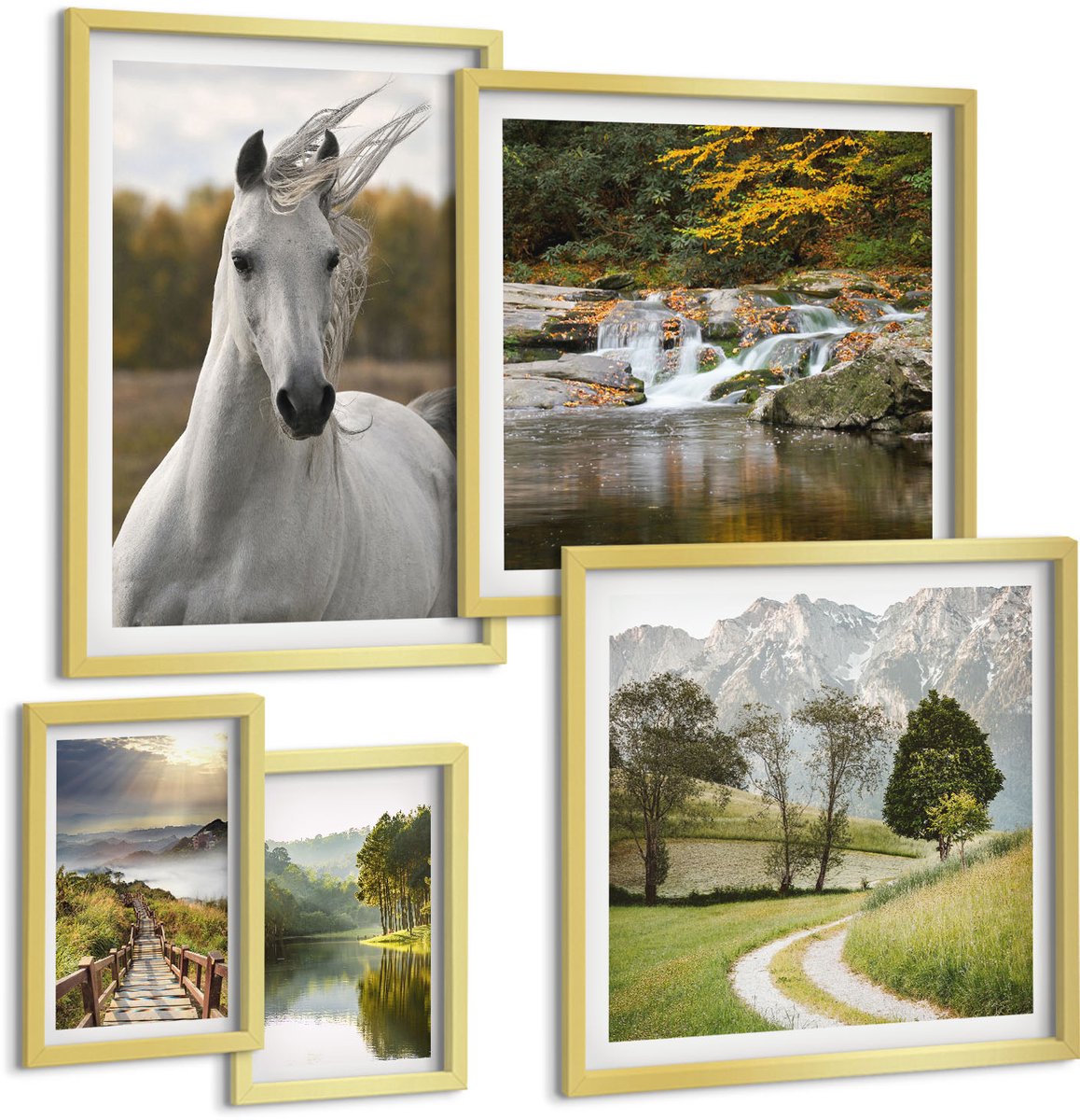 Coloray 5-Delige Schilderij Set - Natuurlijke Schoonheid Van Landschappen En Dieren In Harmonie - 50 x 50 cm, 20 x 30 cm En 40 x 60 cm - Stijlvolle Wanddecoratie - Interieur - Moderne Wanddecoratie