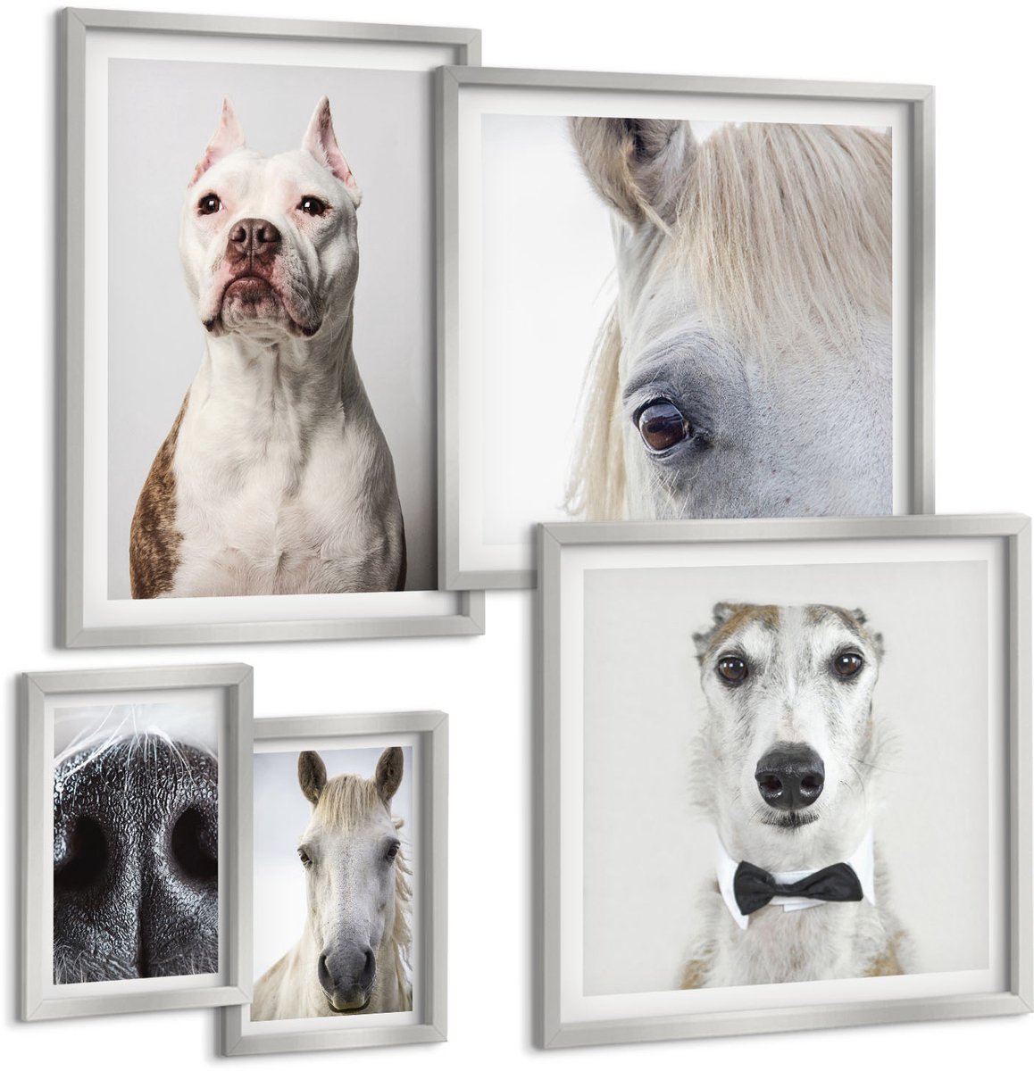 Coloray 5-Delige Schilderij Set - Interessante Portretten Van Honden En Paarden In Een Elegante Stijl. - 20 x 30 cm - Moderne Wanddecoratie - Slaapkamer - Stijlvolle Muurdecoratie