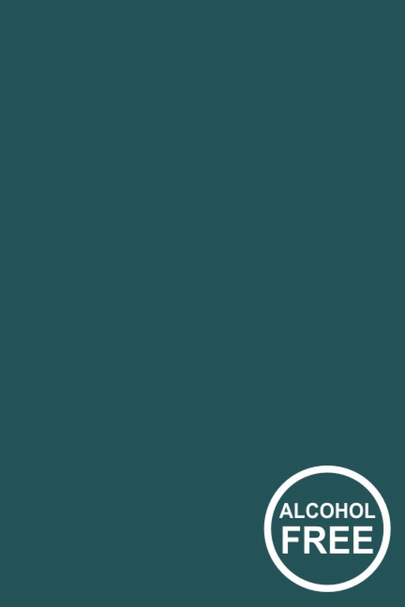 Alcohol Free Journal: The first 90 days - ShopVlot
