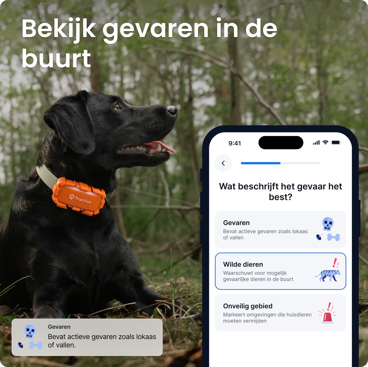 Tractive DOG 6 XL Adventure Edition – Slimme GPS-tracker voor honden met monitoring van vitale waarden & gezondheidswaarschuwingen, 6 weken batterijlevensduur – Oranje thumbnail 3
