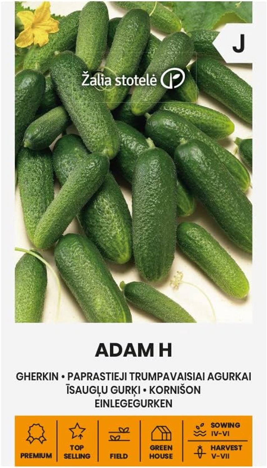 Zalia stotele - INSERT CUMBER ADAM H seeds - Vegetable seeds - Plant seeds - Cucumber seeds - Garden seeds - 1 pack - ShopVlot