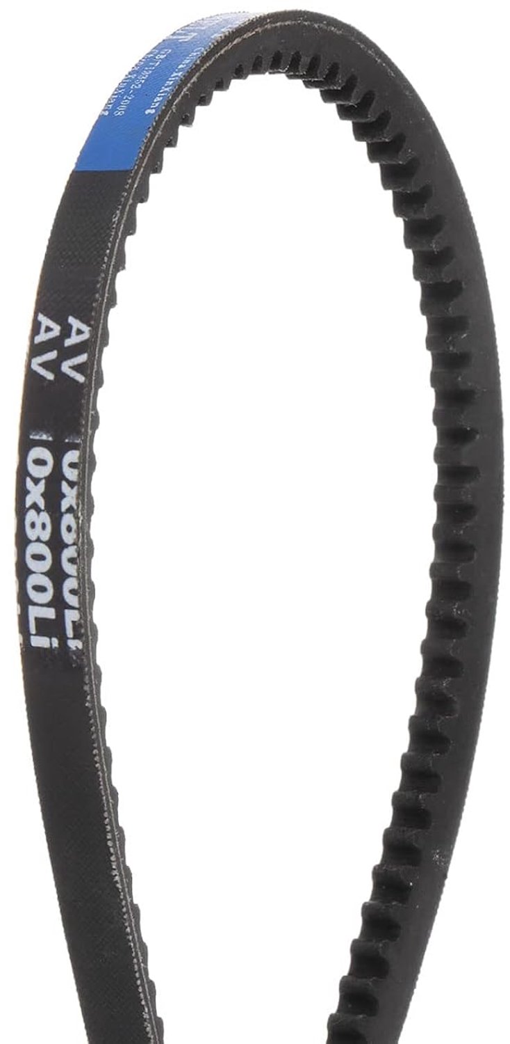 Tandriem 800 mm - 10 mm breedte - rubberen aandrijfriem - voor krachtoverbrenging - ServiceTopper