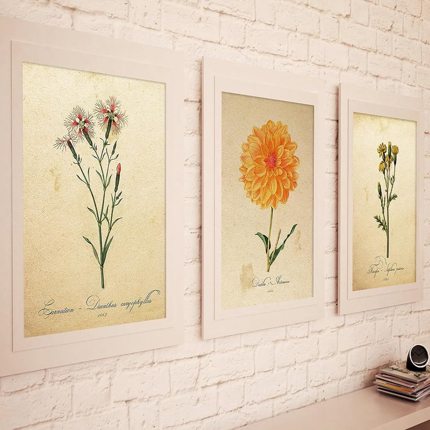 Posters plantkunde - 250 grams papier - bedrukt met hoge kwaliteit inkt - decoratief voor inlijsten - ServiceTopper