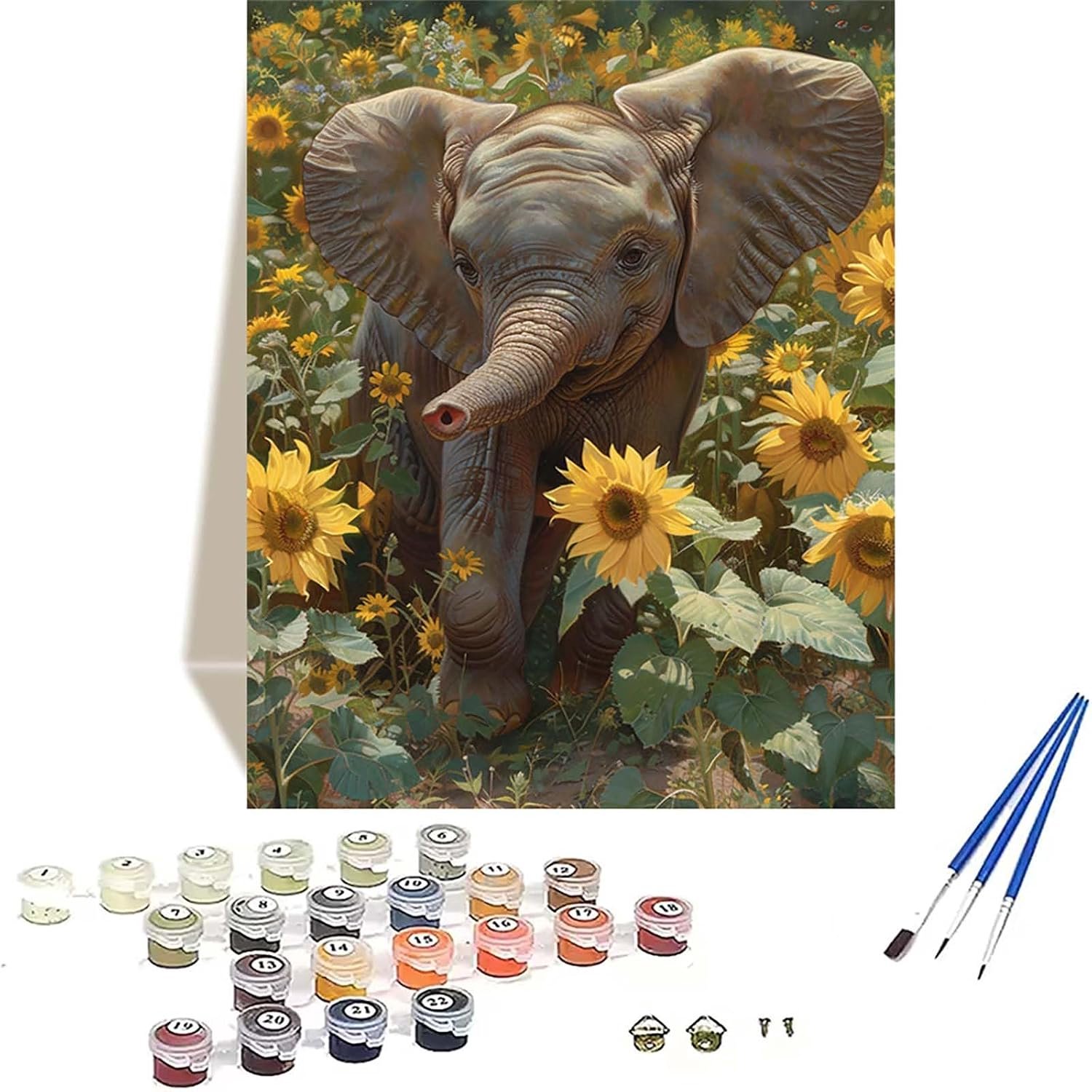 Verf op nummer volwassenen - zonnebloem - acrylpigment - beginner-vriendelijk m-winkel - m-winkel