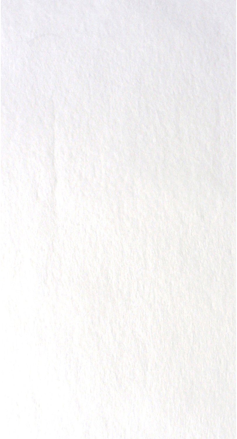SANTEX - Wit non-woven tafelkleed 150 x 300 cm