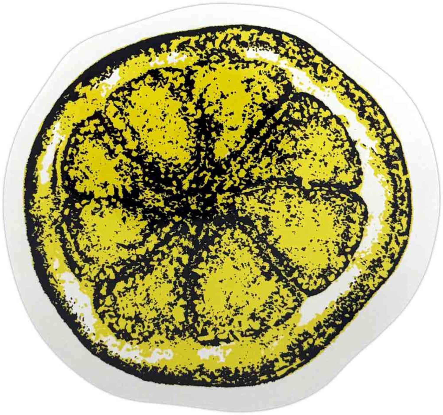 The Stone Roses - Lemon Sticker - Geel/Wit