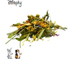 Zooply Lentedroom - Kruiden & Snacks - 100% natuurlijk - Voor konijnen & cavia's - 450 gram