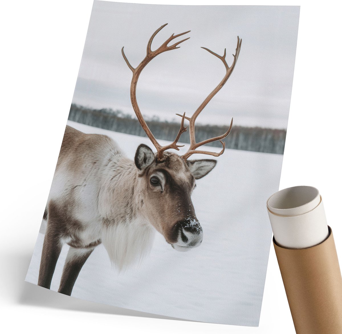 Coloray Polycanvas Poster - Winterrendieren, Fotografie - 210 x 297 mm - Wit Kunst - Rechthoek - Kunstposter - Woonkamer, Slaapkamer, Kantoor - Klassiek