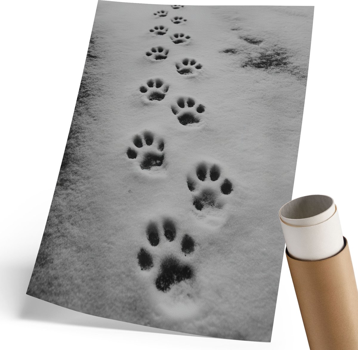 Coloray Polycanvas Poster - Kustlandschap, Groente - 210 x 297 mm - Wit Wanddecoratie - Rechthoek - Kunstposter - Slaapkamer - Minimalist
