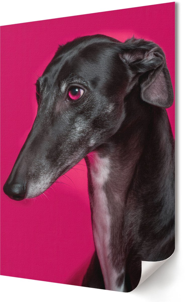 Coloray Polycanvas Wandposter - Hondenportret, Illustratie - 420 x 594 - Roze Decoratie - Rechthoek - Muurkunst - Woonkamer, Slaapkamer, Kantoor - Modern