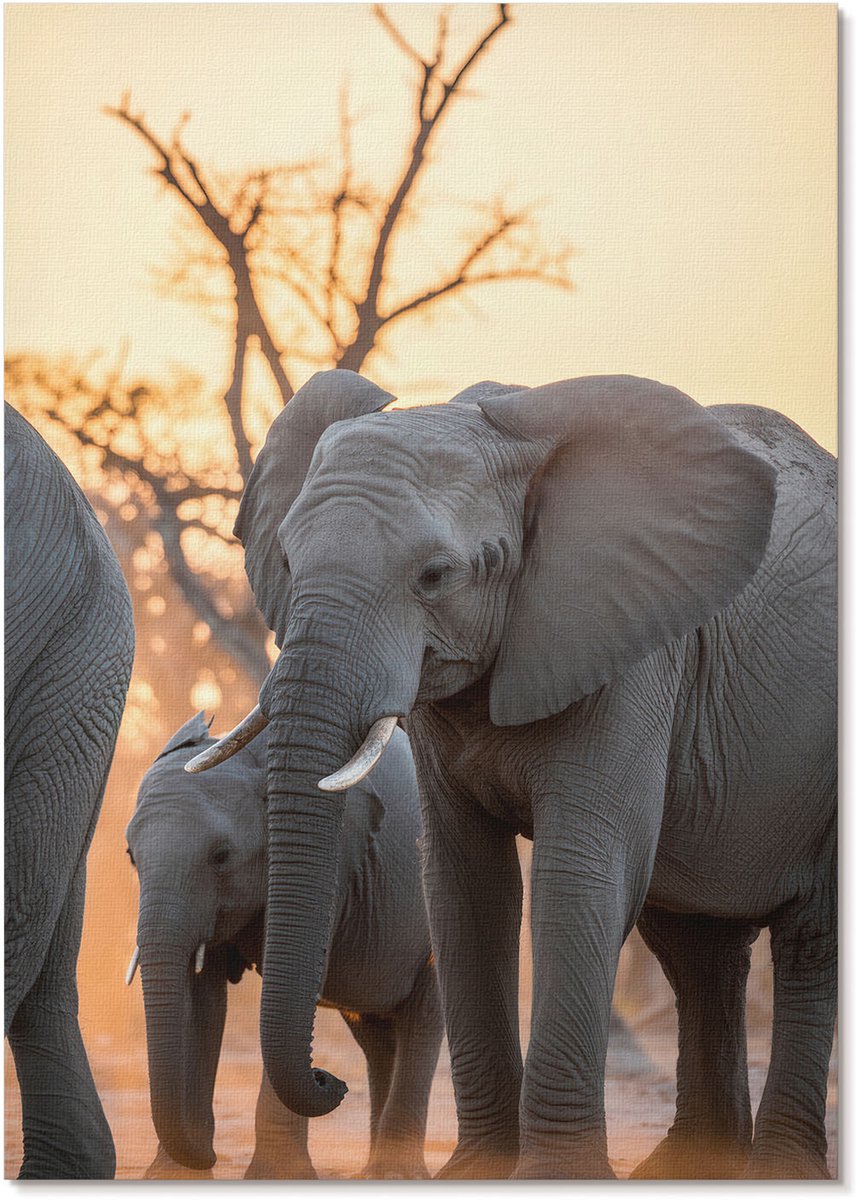 Tulup Polycanvas Wandposter - Afrikaanse Olifanten, Fotografie - A4 - Grijs Illustratie - Rechthoek - Interieurdecoratie - Woonkamer, Slaapkamer, Kantoor - Modern