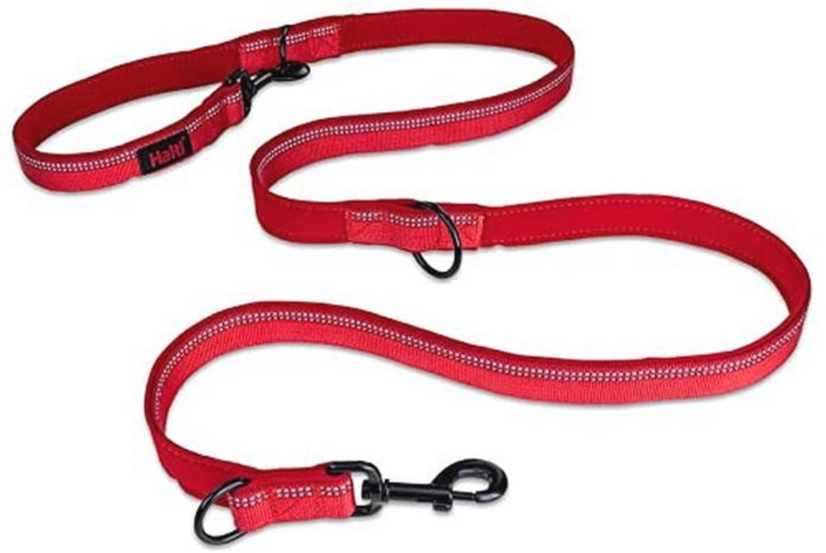 Dubbel Eindigde Hond Leiding (6'6") – Rood