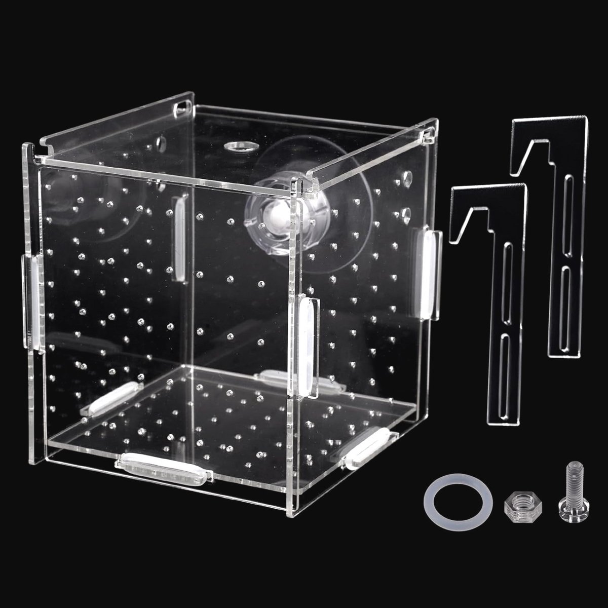 Aquarium Kweekbak 10x10x10 cm voor Fokken en Uitbroeden van Vissen
