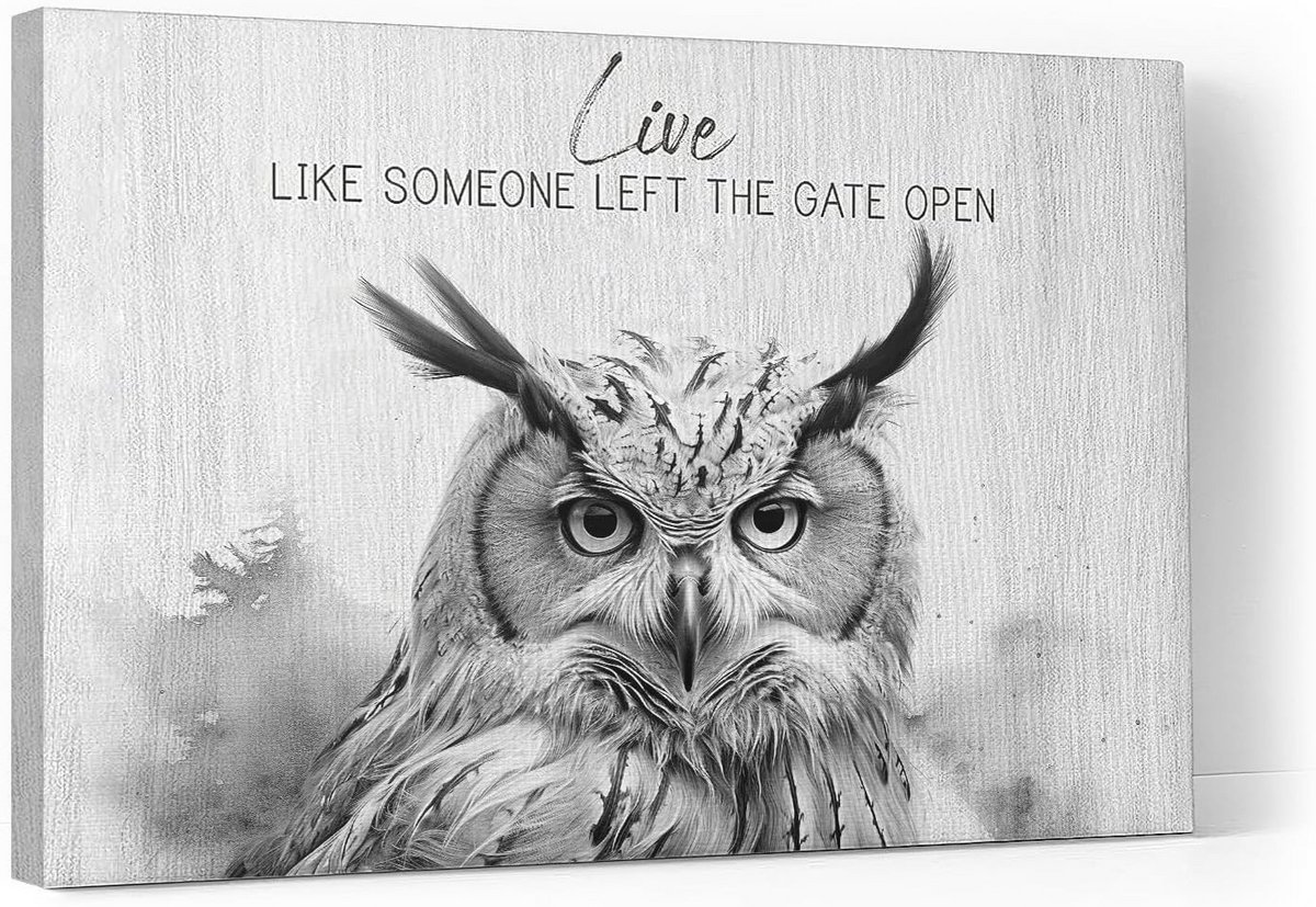 Zwart-wit Uil Canvas Muurkunst - Inspirerende Muurdecoratie voor Badkamer, Toilet, Kantoor