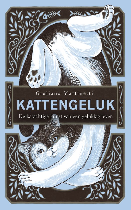 Kattengeluk - cover