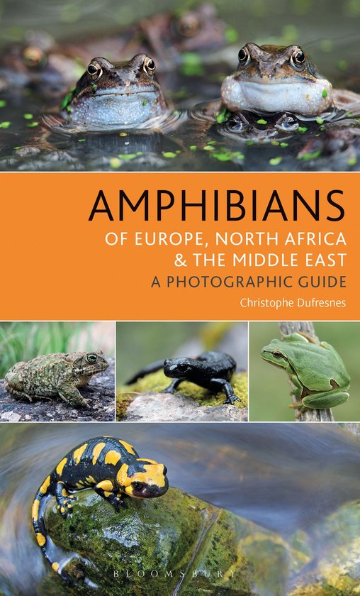 Bloomsbury Naturalist - Amphibians of Europe, North Africa a ... - cover