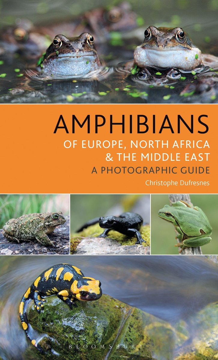 Omslag van Bloomsbury Naturalist - Amphibians of Europe, North Africa and the Middle East