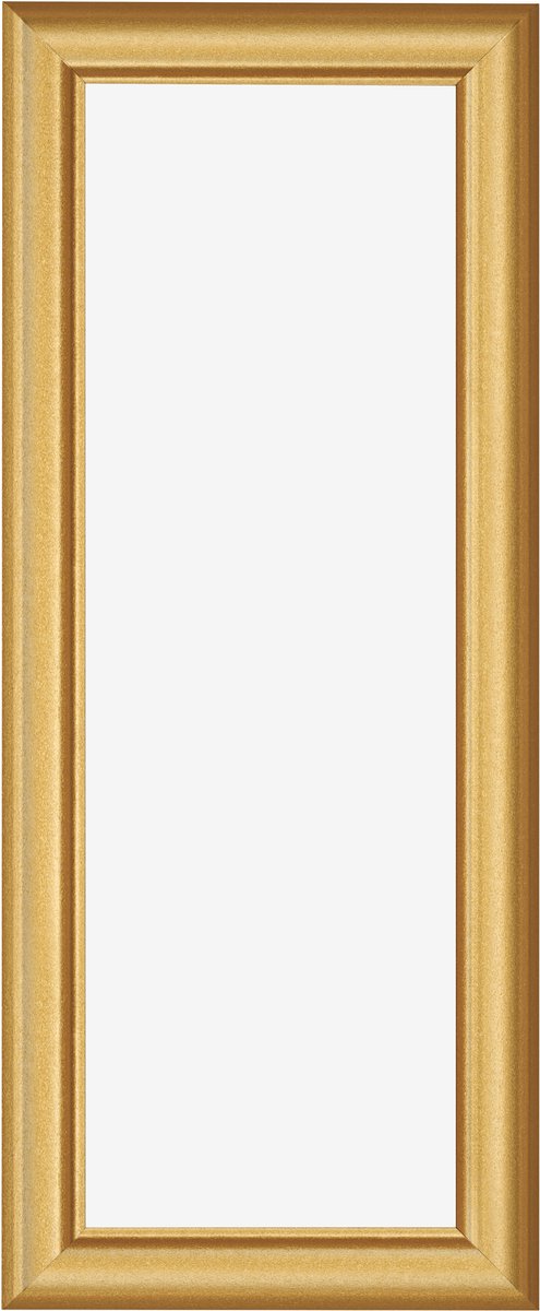 Fotolijst 70x100 cm - MDF - Goud Mat - Limburg