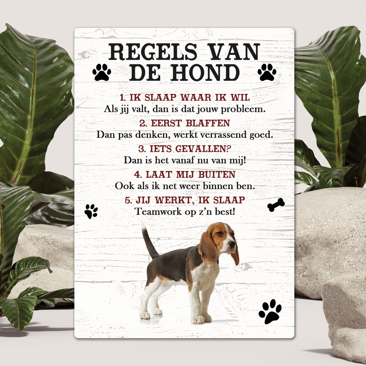 Spreuken - Beagle - Regels Van De Hond - Spreuken Bordjes - Spreukenbord - Tekstborden - Cadeau - Hondenras