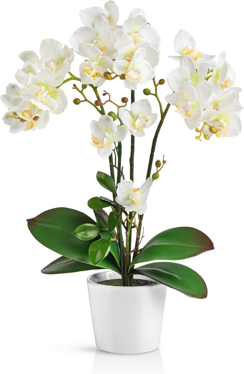 Kunstmatige Orchideeën in Glazen Bloempotten (46cm) - Realistische Kunstbloemen