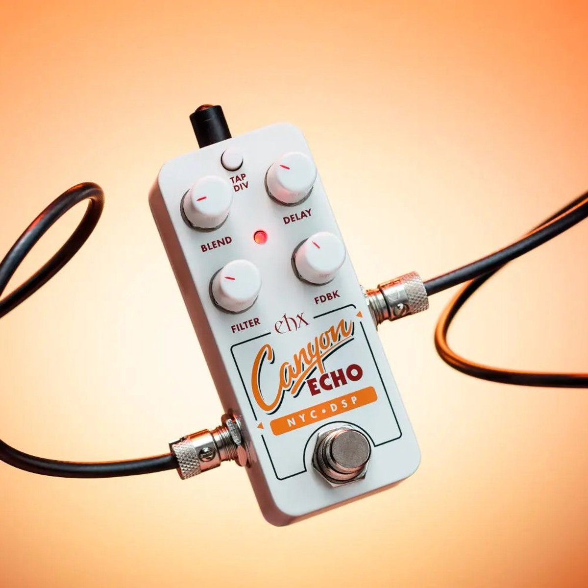 Electro Harmonix Pico Canyon Echo - Effect-unit voor gitaren
