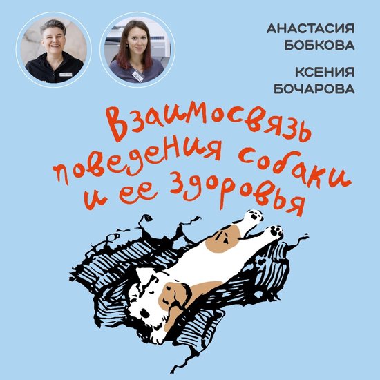 Взаимосвязь поведения собаки и е ... - cover