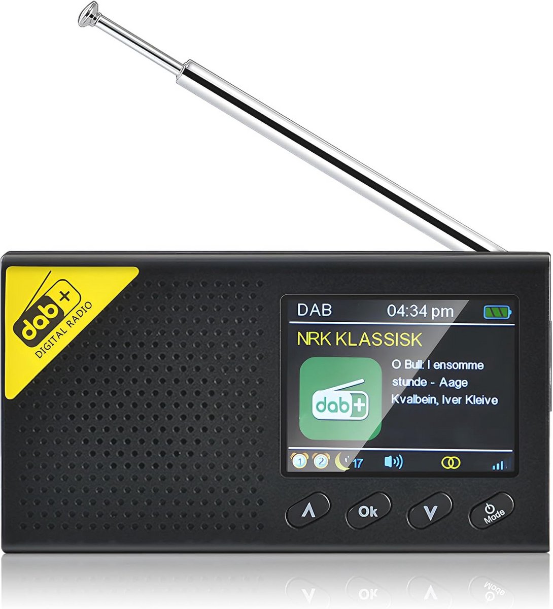 Draagbare Oplaadbare Dab/Dab+/FM Radio met Bluetooth en Klokfunctie