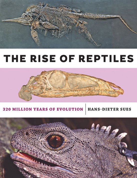 The Rise of Reptiles - cover