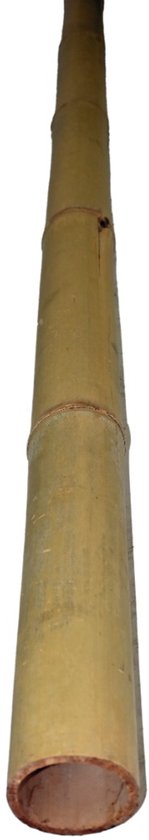 Poteau en bambou Moso 8-9 300
