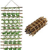Houten decoratieladder met klimop en opgerolde ladder ernaast.