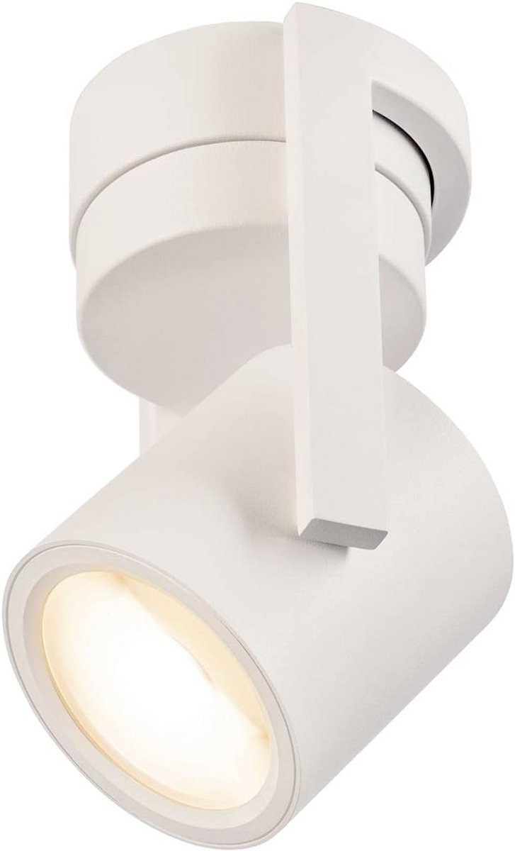 Dimbare Plafond- en Wandlamp LED Wit 11W Warm Wit Licht Oppervlaktestraler Binnenverlichti