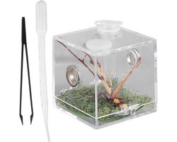 Allecta - Terrarium voor Springspin en Reptielen - Acryl materiaal - Transparant - Kweekbox voor slakken - Inclusief pipettang for spinnen, crickets en sprinkhanen.