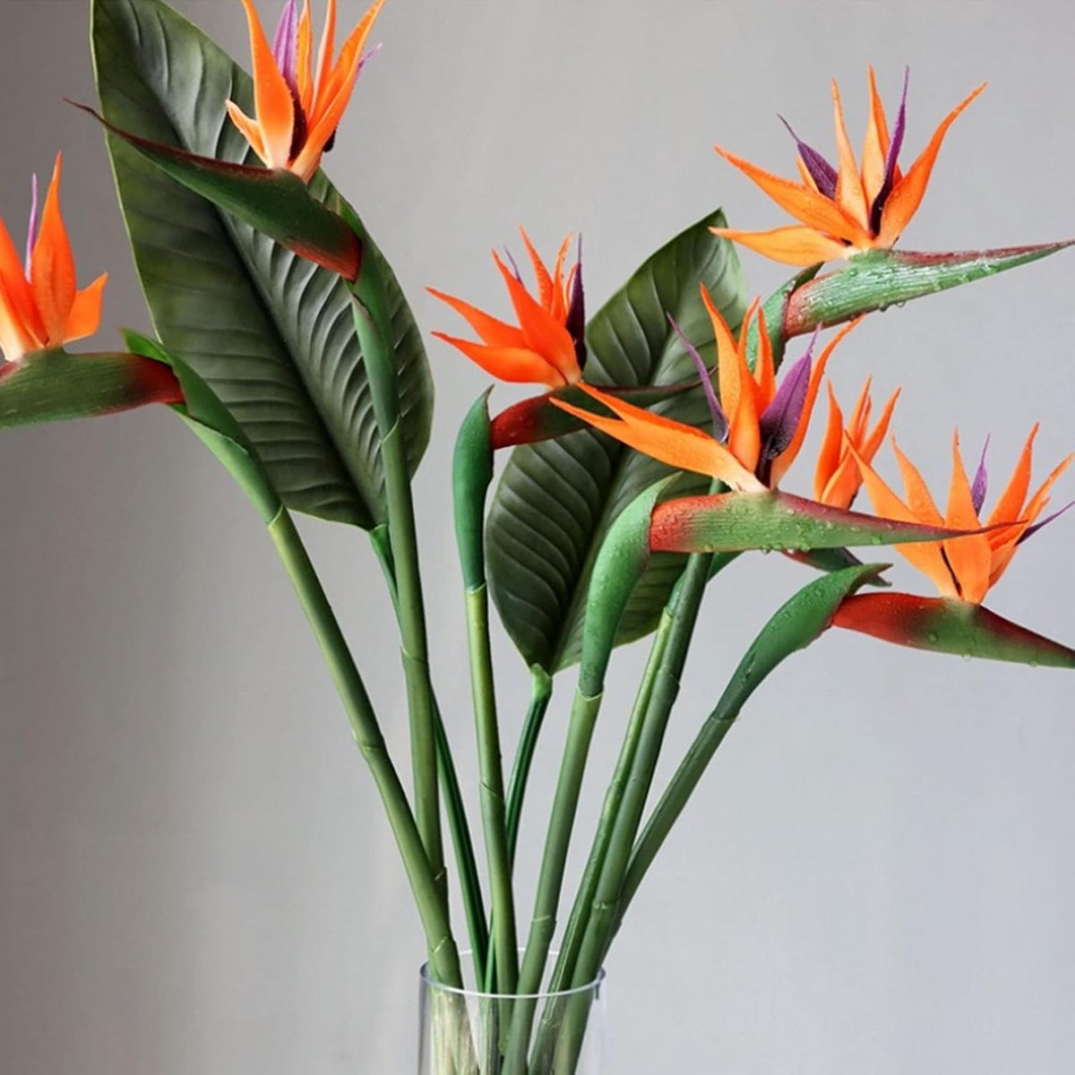 4 Stuks Kunstmatige Paradijsvogel Bloemen 55cm Lange Steel