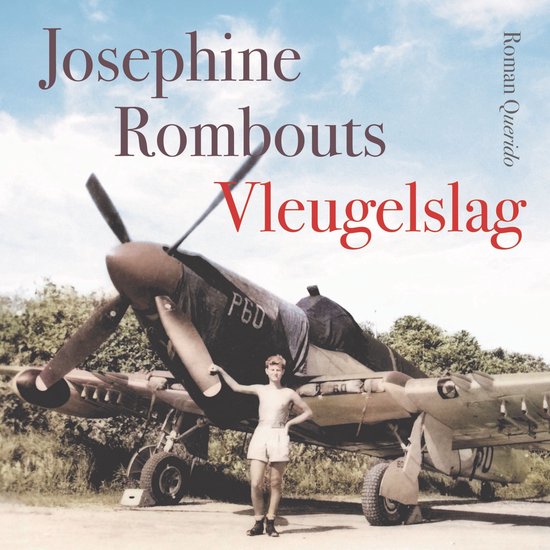 Vleugelslag - cover