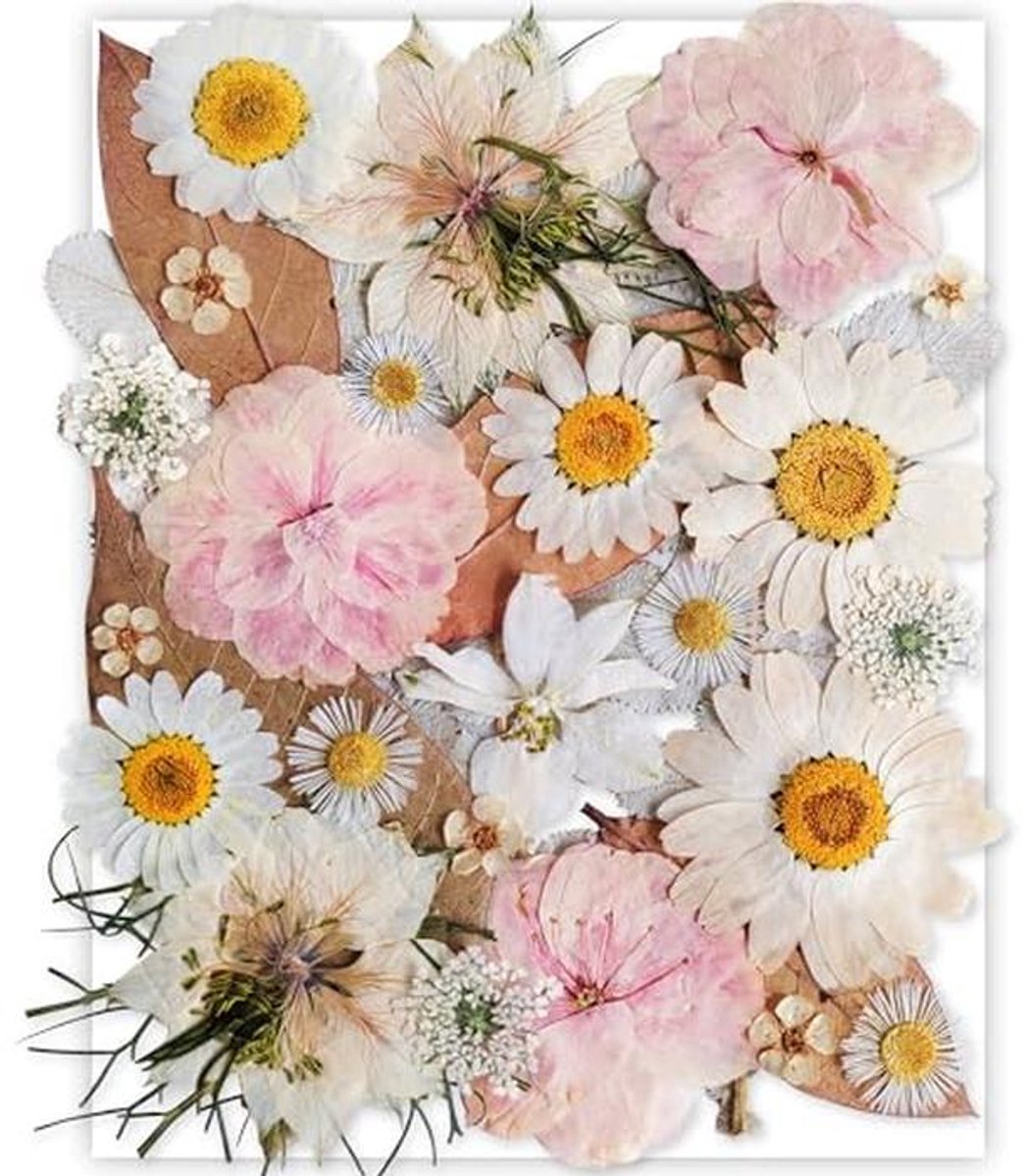 Gedroogde Persbloemen Set voor DIY Projecten - 37 Stuks Natuurlijke Bloemen voor Kaarsen, 