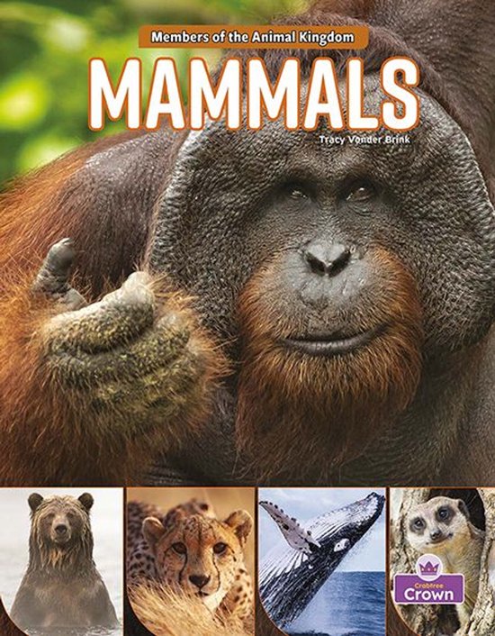 Members of the Animal Kingdom - Mammals