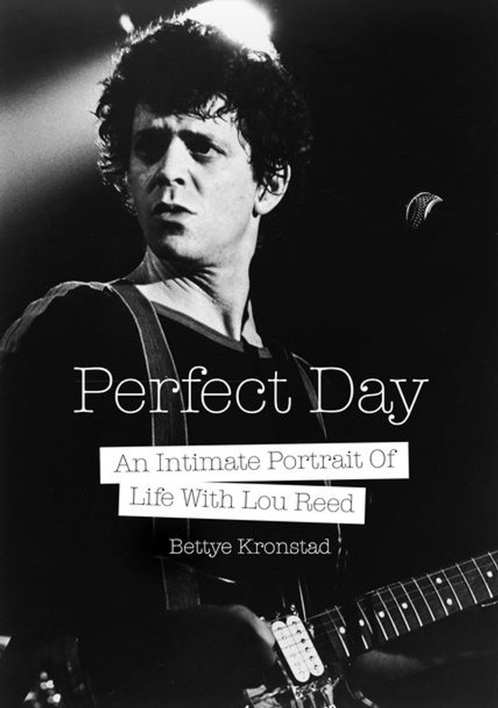 Perfect Day - cover