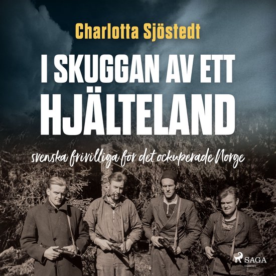 I skuggan av ett hjälteland - cover