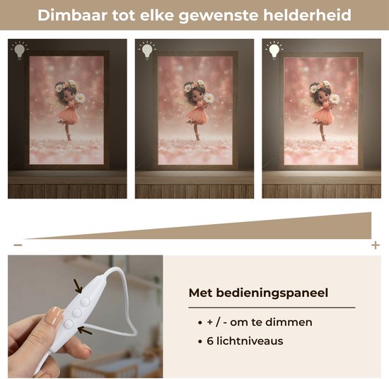 Vergelijking van de lamp in 6 lichtniveaus met een dimmer en bedieningspaneel. Bevat afbeeldingen van een fee.