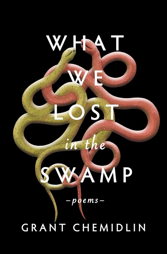 Couverture de livre intitulée "What We Lost in the Swamp". Deux serpents, un jaune et un rose, s'enroulent l'un dans l'autre sur fond noir. Les serpents sont tachetés.