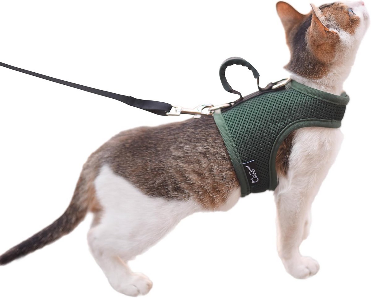 Ontsnappingsbestendig Kattenharnas en Riem Set XL - Ademend Groen Wandelvest met Handvat