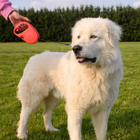 Ferplast Uitschuifbare hondenriem FLIPPY ONE, riem voor kleine honden tot 15 kg, uittrekbare riem max. 4 m. Enkele knop voor vergrendelen en ontgrendelen, lichtblauw