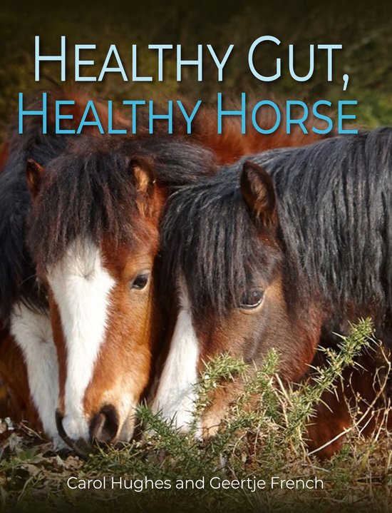 Healthy Gut, Healthy Horse - cover
