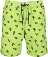 Regatta Zwembroek Hadden Ii Heren Polyester Groen Maat 2xl