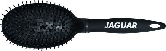 Jaguar S-Serie S4 haarborstel