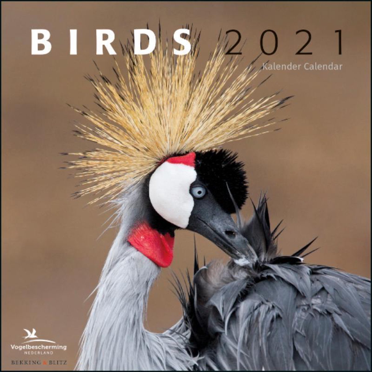 Birds maandkalender 2021, Vogelbescherming | bol.com