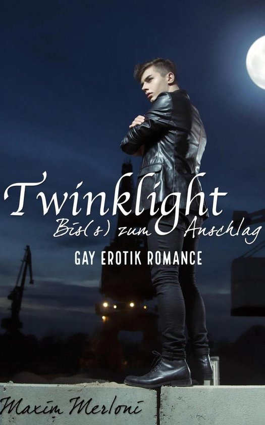 Twinklight Saga Twinklight Bis S Zum Anschlag Gay Erotik Romance Ebook Bol Com