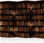 Kamerscherm - Scheidingswand - Vouwscherm - Bookshelves II [Room Dividers] 225x172 - Artgeist Vouwscherm